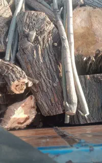 خرید چوب