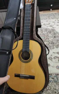 گیتار پالادو CG80