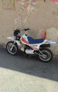 کراس جترومینی