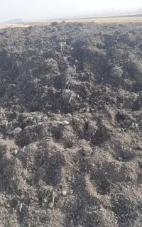 کمپوست و دود مایع