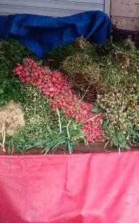 پخش عمده سبزی به غرب تهران