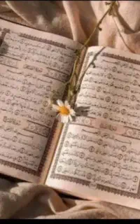 سرکتاب حل مشکل