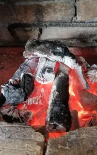 زغال کبابی درجه یک