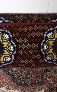 یک جفت پشتی