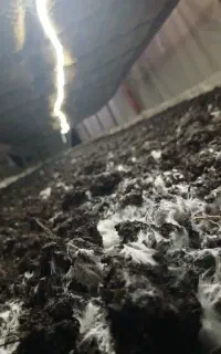 ضایعات کمپوست و خاک قارچ مخصوص باغ و گلخانه