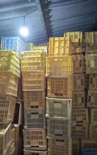 سبد جای گوجه ۲۰ کیلویی