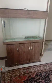 آکواریوم در حد نو نو