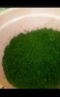 سبزی خورشتی خوردشده
