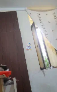 هم خونه خانم