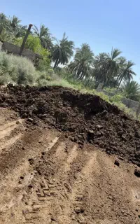 کود حیوانی
