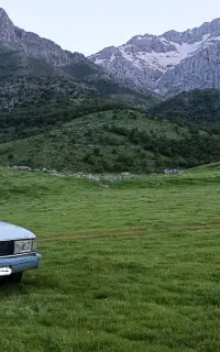 وانتی