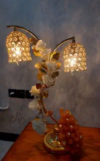 چراغ خواب . شاخه نبات