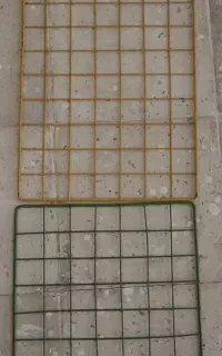 قفسه