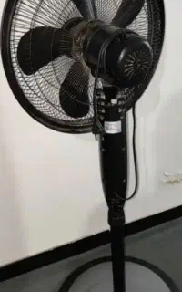 پنکه