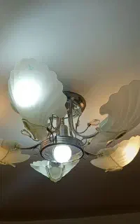 لوستر
