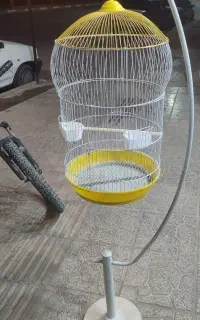 قفس ایستاده با پایه قشنگ عروس هلندی و...