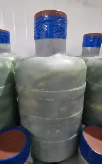 خیار شور رویال همدان