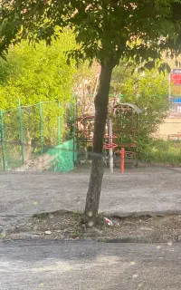نیازمند نیرو کارواش پورسانتی