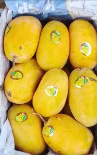 انبه