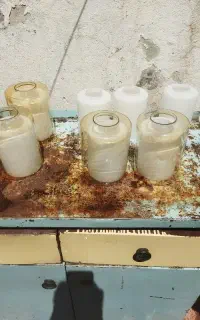 لوستر کریستال