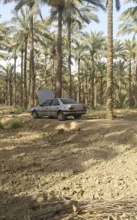 پژو مدل 88