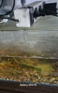 اکواریوم