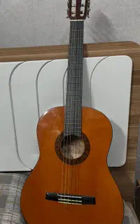 گیتار والنسیا cg160