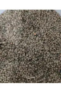 نژی یا عدس