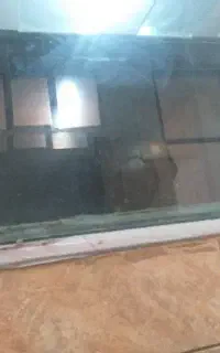 اکواریم