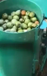 پوست کن گردووبادام