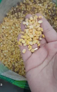 لپه