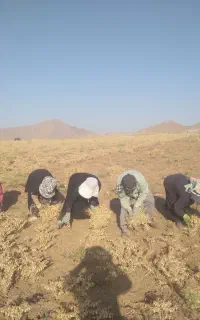 اکیپ کارکن خوب خوش رفتار