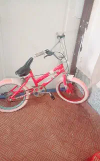 دوچرخه