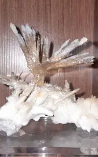 آموزش کانی شناسی