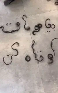 مدل جهت کوتاهی مو کاملا رایگان برای خانوم ها
