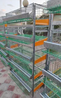 فروش قفس بلدرچین تخمگذار