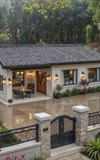 داوطلبانه راهنمایی میکنم