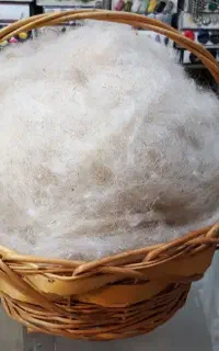 حلاجی پشم