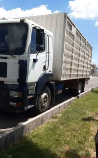 اتاق مرغی آمیکو