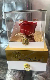 رز جاودان موزیکال