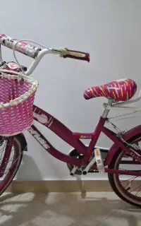 دوچرخه