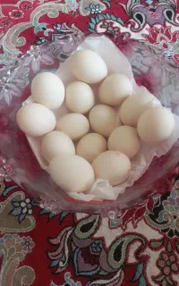 تخم مرغ محلی
