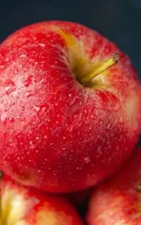 فروش کلی سیب درختی و انگور