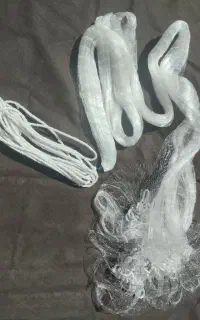 تور ماهیگیری