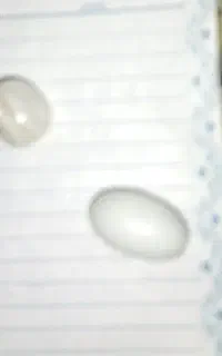 بدلیجات