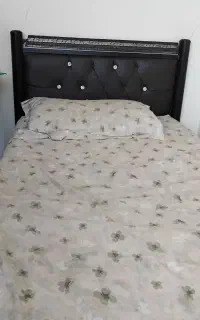 ۲ عدد تخت یک نفره