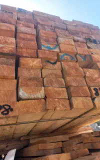 فروش مستقیم چوب روسی از بندر