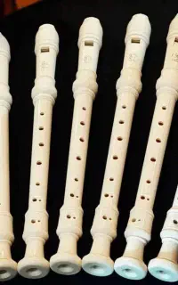 فلوت رکوردر آموزشی(مرکز موسیقی کودک)