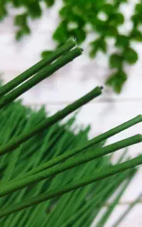 مخصوص گل سازی دانه ای۳هزار تومن