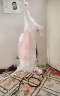 قصابی سیار